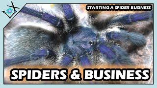 I'm Starting A Small Spider Business...【Tarantula Update & Talk】