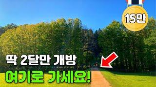 Explore a Stunning 10km UNESCO-Designated Forest Trail for an Unforgettable Day Trip in Korea