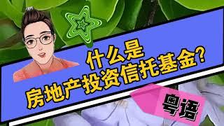 什么是REIT 房地产投资信托基金，简称房托基金、或者产业信托？原来REIT不单可以投资房地产，里面还有玄机。粤语/广东话版本。