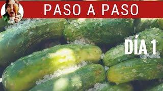 PEPINILLOS agridulces en conserva (día 1) - Paulina Cocina