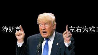 新欢vs旧爱，特朗普左右为难！#Trump #MAGA #Musker