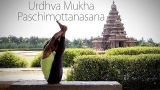 How to: Urdhva Mukha Paschimottanasana (Upward facing intense stretch)