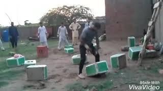 Shahzad palwan Lajpal group noonawali