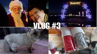 Vlog  #3 - Morning Skincare, Pet Groomer and light show