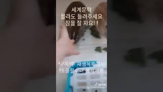 꿀책 홍보영상 세계문학