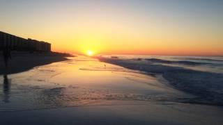 Carpe Diem Florida Sunrise