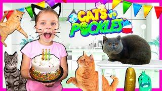 Cat Dance Party Pretend Play With Kin Tin | Cats VS Pickles In Real Life