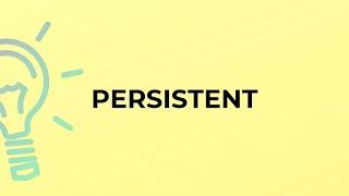 What is the meaning of the word PERSISTENT?