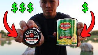 Testing The CHEAPEST & MOST EXPENSIVE Carp Baits