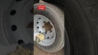 Китайский гайковерт FengBao. #агросервис #automobile #гайковерт