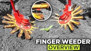 High Efficiency In-Row Weed Removal - Finger Weeder Overview