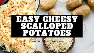 Easy Scalloped Potatoes Recipe with Creamy SAUCE - Munchkin Time