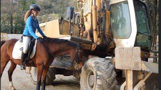 Como no caerse del caballo | Botes, levantarse de manos y arrancadas