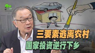 温铁军：国家投资乡村振兴，怎样让全体农民获得长期收益？