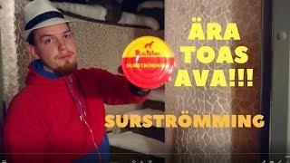 Surströmming - Õudus konservis!!!