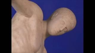 Discobolus