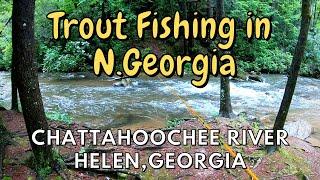 Trout Fishing in North Georgia !!! Small Streams and the Chattahoochee River.....Helen, GA !!!