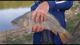 Pescuit la Feeder Lacul Lunca Corbului