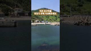 커밍수~~ㄴ 작지만 강한 바닷가주택 기대해주세요. #착한부동산tv