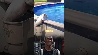 Dog Sad Moments️‍🩹 (try not to cry)