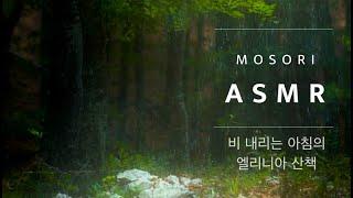 메이플스토리 엘리니아 ASMR l 비 내리는 아침의 엘리니아 산책하기 l 모소리 MOSORI l MapleStory Ellinia l 입체음향 ASMR Ambience