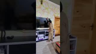 pk m,ishaq TikTok funny video