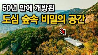 Unveiling the Hidden Gems of Seoul's 730,000 Visitor AttractionㅣSeoul travelㅣSeoul walkㅣSeoul Trip