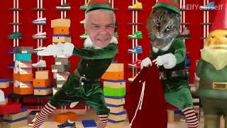 Check out my ElfYourself Dance!