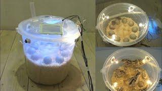 How to make a home Incubator is very simple and easy | كيف تصنع حاضنة منزلية بسيطة جدا وسهلة