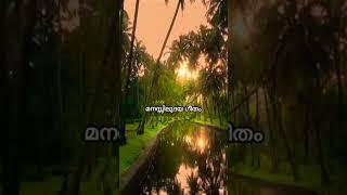 ജീവിതഗാഥകളെ #trendingshorts #shorts #kschithra #lyricalvideo