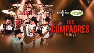 Los Compadres – Los Tucanes de Tijuana x Tapy Quintero (En Vivo)