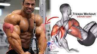 TOP 6 EXERCISES TO BUILD TRICEPS WORKOUT 