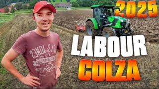 Labour Pour Le Futur Colza !!!