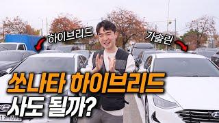 가솔린살까? 하이브리드살까? 고민되는분 보세요!