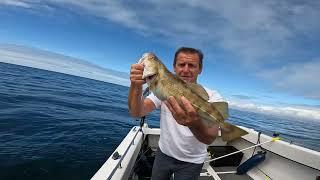 UK Boat fishing for cod & bass