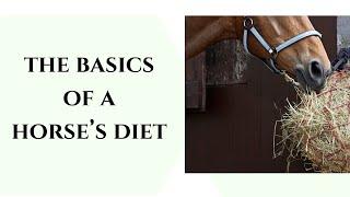 Horse nutrition, the basics of creating an equine diet. #horsediet #equinenutrition #horsecare