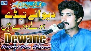 Dewany Tedy Holy Wady Hain - Shahzad Khan Qaisrani - Latest Saraiki Song - Moon Studio Pakistan