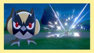 LIVE!! Minisange shiny après 901 rencontres sur Pokémon Épée (+ Évolutions) [FULL ODDS]