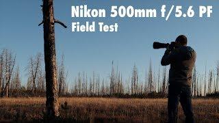 Nikon 500mm f/5.6 PF Lens Field Test/Review