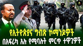 የኢትዮጵያና ግብጽ ኮማንዶዎች በአፍሪካ አሉ የሚባሉት ምርጥ ተዋጊዎች