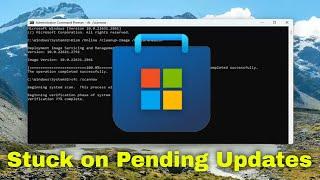 Microsoft Store Stuck on Pending When Downloading [Solution]