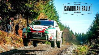 Cambrian Rally 2024 | ACTION & JUMPS! [HD]