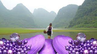 The girl lifted the veil of the mutated giant purple river clam and discovered precious jewelry!