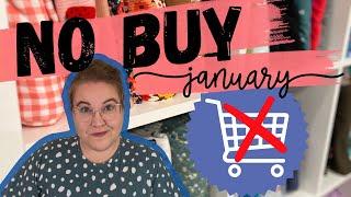 No Buy January |Plus| Stash Challenge Update!