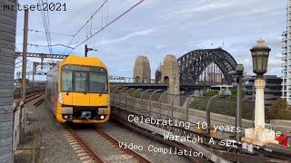 Celebrating 10 Years of the Waratah A Set Trains | Video Compilation