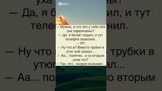 юмор #приколы #смех #юмор