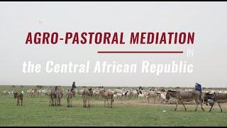 Agro-pastoral mediation in Central African Republic