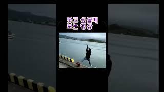 우울할때 보는 영상ㅋㅋ