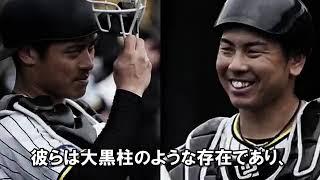 阪神タイガース　期待の正捕手？