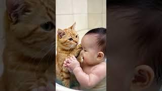 Little yellow cat and baby